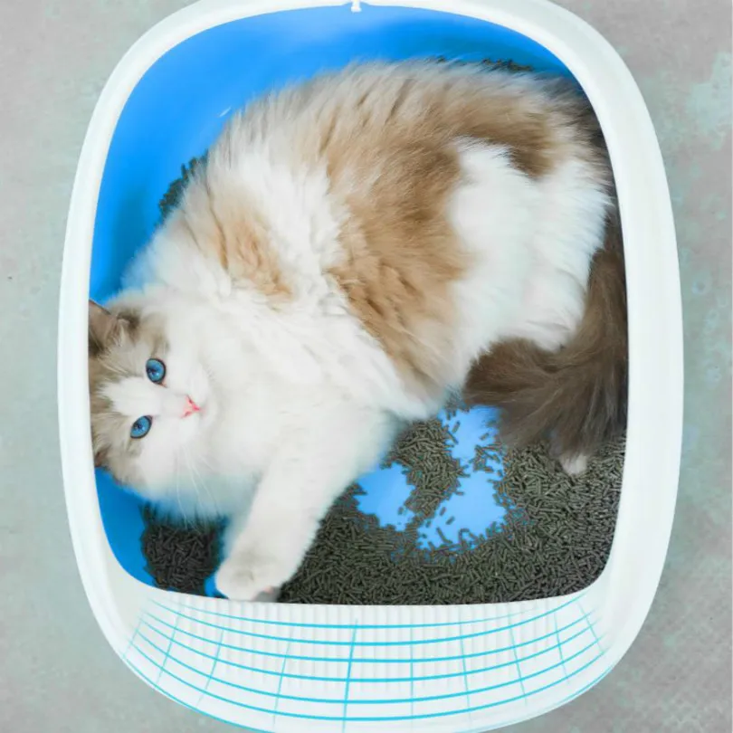 

35*48*18cm cat litter box cats toilet pet toilet wc cat litter tray free shipping