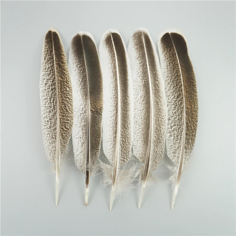 Natural Eagle Feathers 10Pcs/Lot For Crafts Plume Headdress Accessories Holiday Decoration Carnival Feather DIY Handicraft Decor