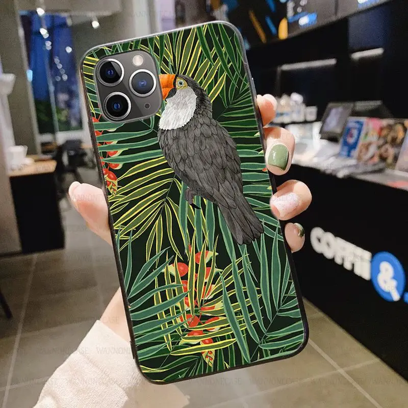 Tropical forest animals Toucan