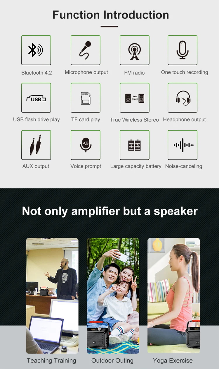 Портативный динамик HiFi высокое качество fm радио 30 Вт мини Караоке PA система Bluetooth