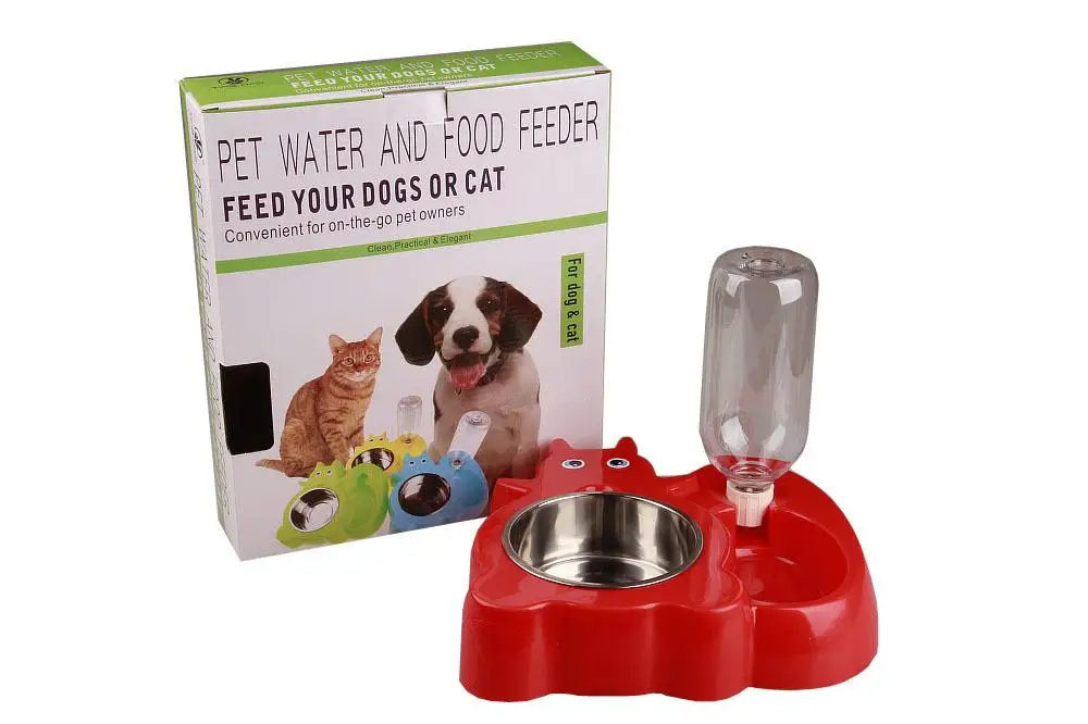 Squirrel frog cartoon dog drinking bowl (29)