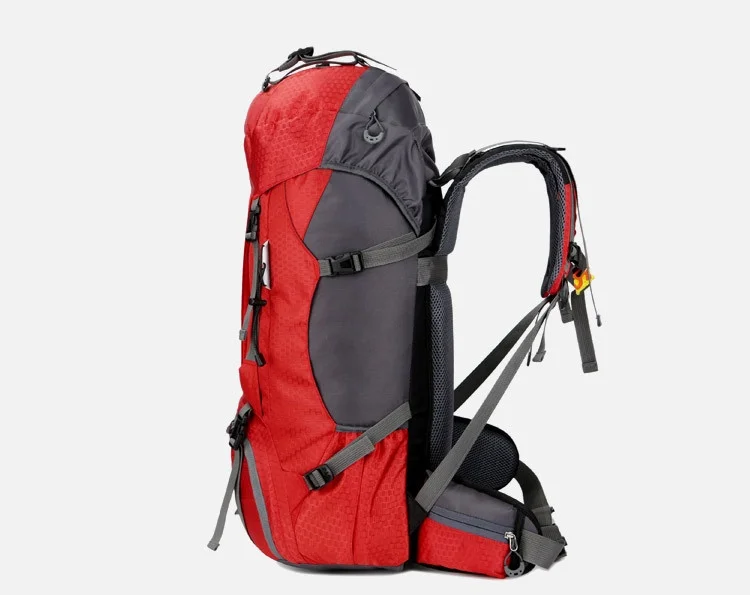 10400556464_421471669_看图王