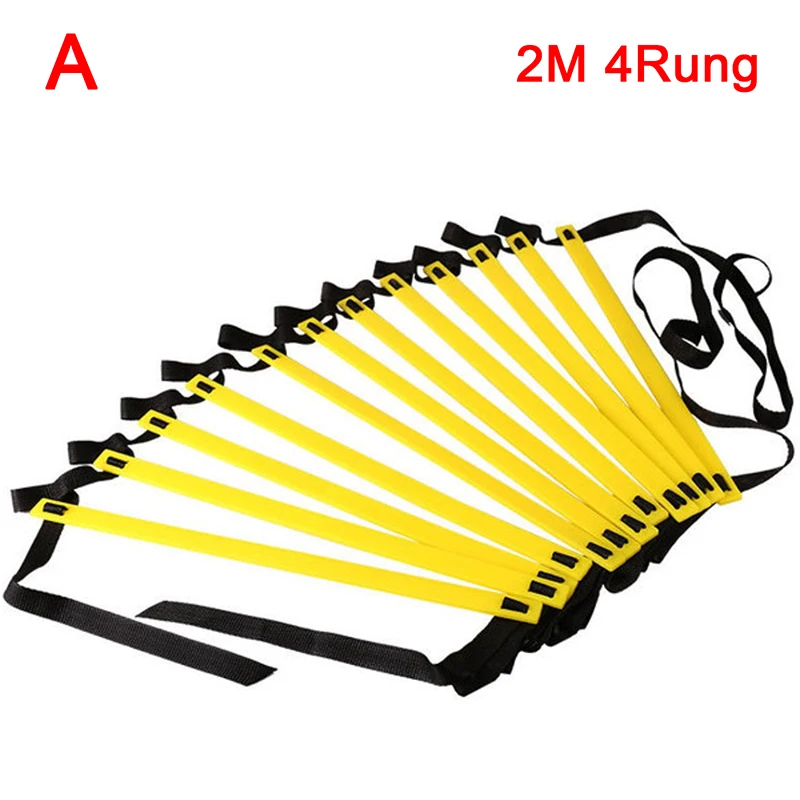 2M 4Rung