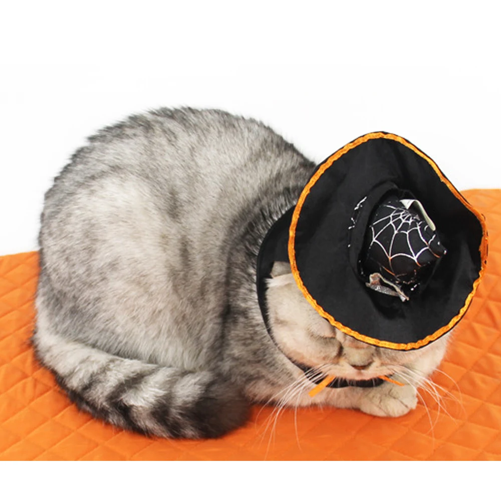 Кошка шапки для собак Регулируемая кошка ведьма шапка на Хэллоуин домашнее животное ведьма шляпа для Хэллоуина креативный питомец кошка костюм аксессуары