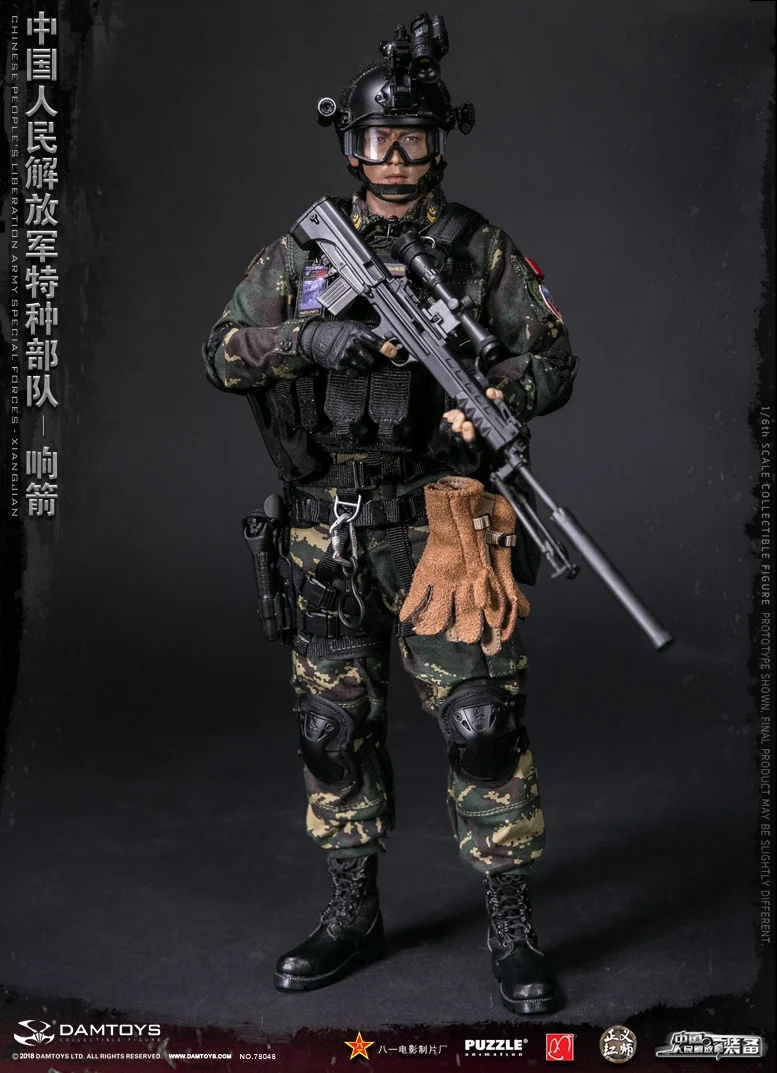 DAMTOYS 1/6 китайский пла спецназ XIANGJIAN 78048 Collcetion фигурка