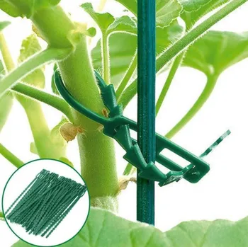 

#30 50pc Durable Plastic Plant Support Clips Plant Tie Vine Climbing Plant Fixed Buckle Home Reusable Fish Bone Clip Garden Tool