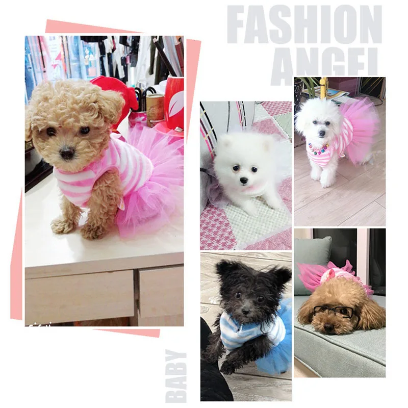 Pawstrip 5 видов конструкций свадебное платье в стиле принцессы для собаки одежда для щенка любимца собака пачка юбка мягкий флис котенок одежда для померанского XS-XL