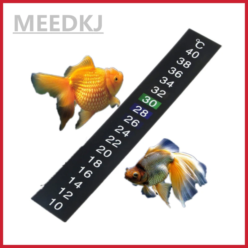 12839239929_481598375