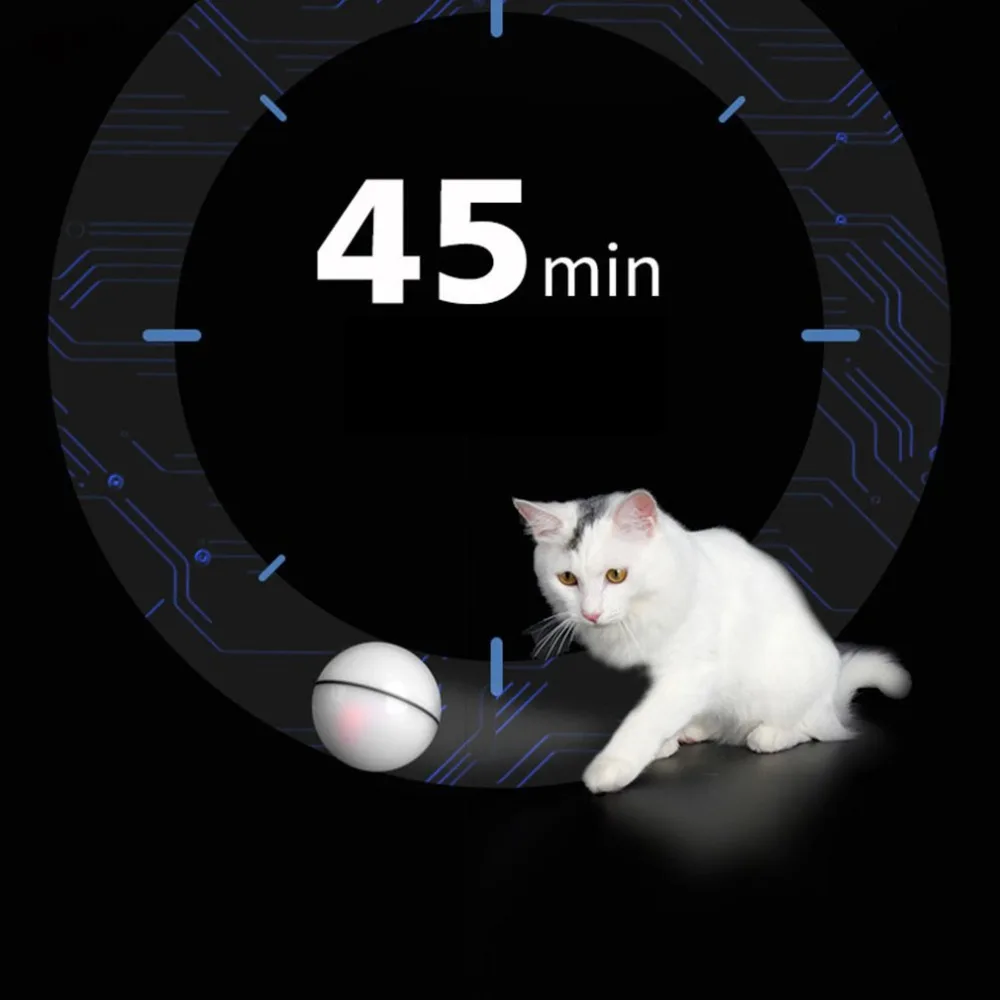 CP71401-C-19120711-1