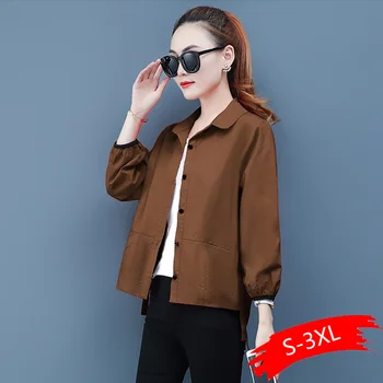 

Short Jacket Female 2020 Spring And Autumn New Loose Casual Thin Jacket Button Turn-down Collar Long Sleeve Tops