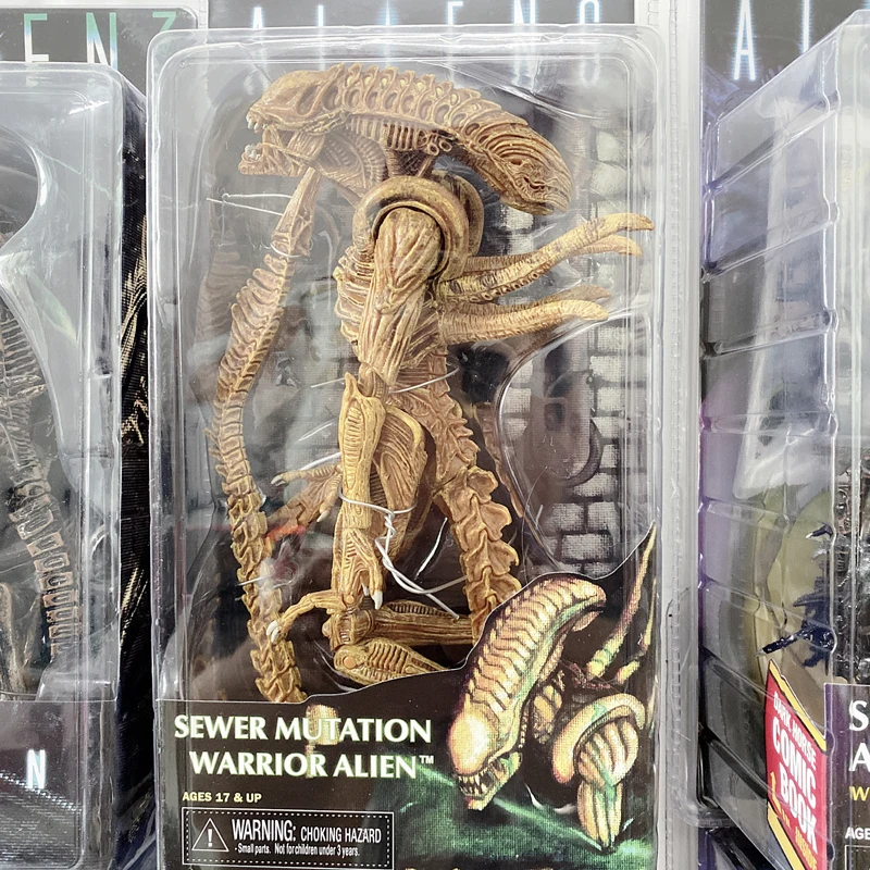 19101901 (3)_wps图片