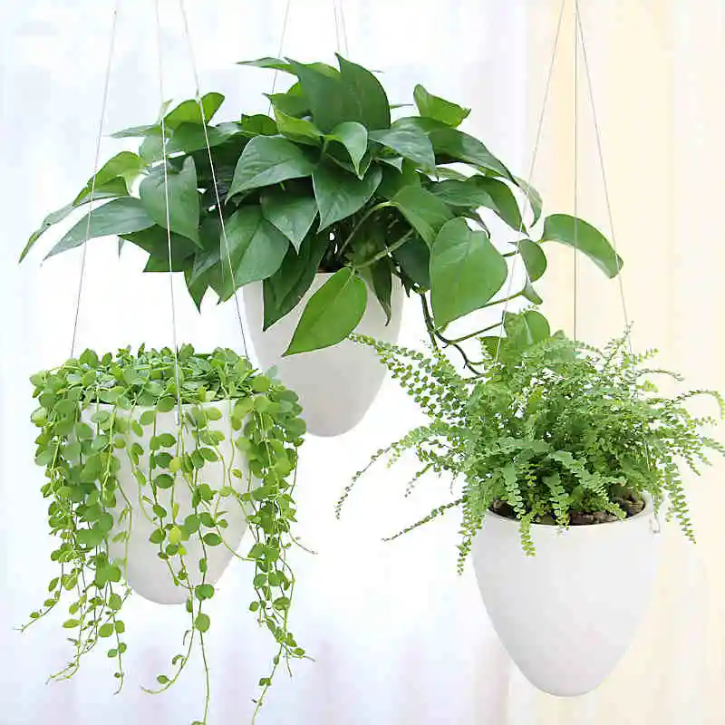 Lazy Flower Pots Water Hanging Plants Pot/Self Watering Planter Succulent Shan 