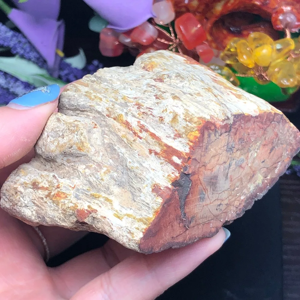 Природный окаменелый деревянный окаменелый камень сырой Рок Кристалл кварц минеральный с лечебным действием, образцы рейки домашний декор