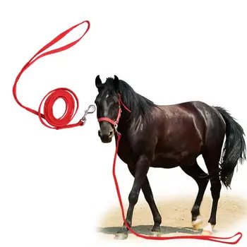 

Adjustable 3m Halters Horse Reins Riding Equipment Halter Horse Bridle With Bit And Fixed Rein Belt Horse Equestrian Accessories
