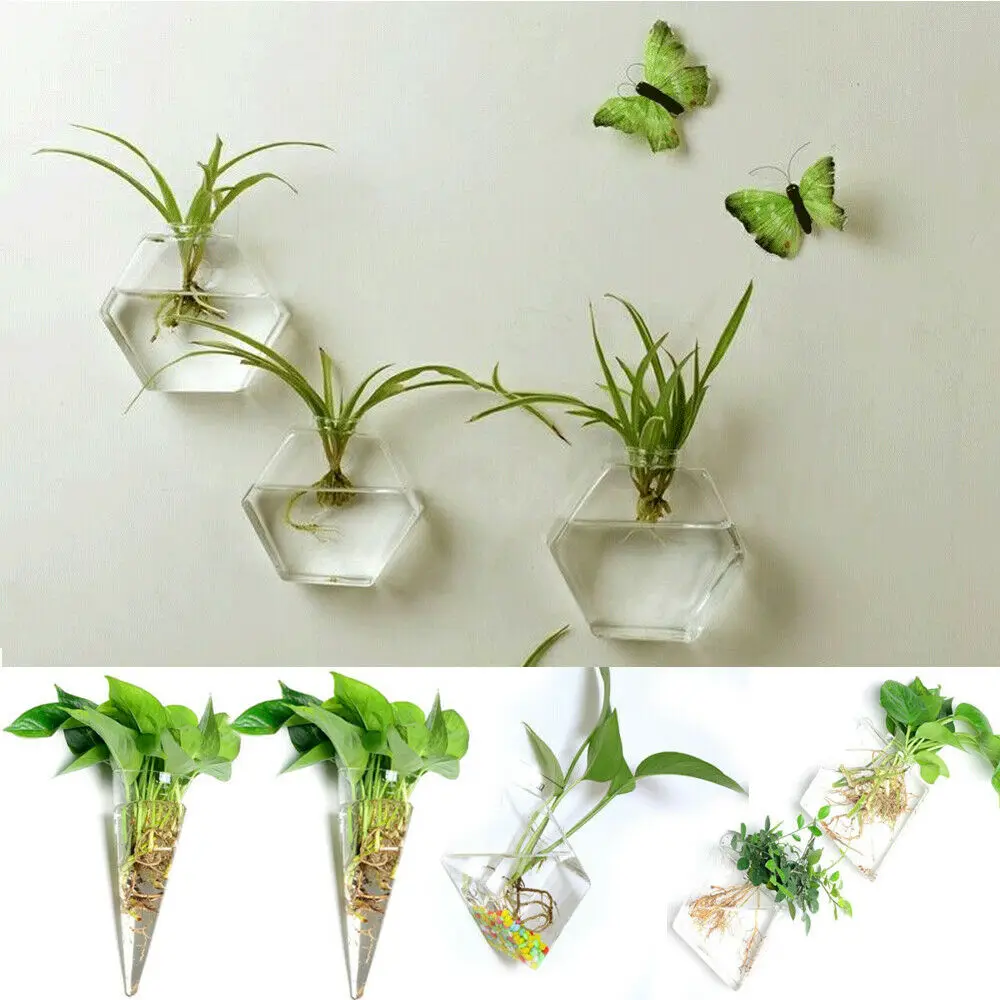 

Unique Hanging Flower Pot Glass Ball Vase Terrarium Wall Fish Tank Aquarium