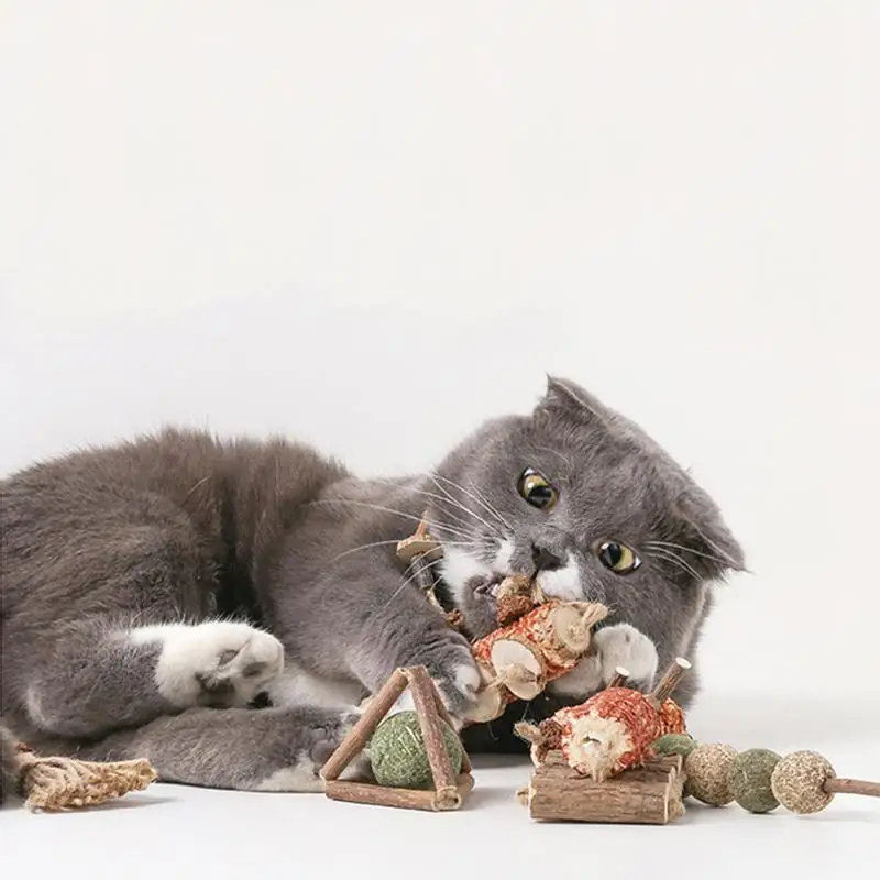 1 шт. забавная игрушка в виде кошачьей мяты креативные натуральные игрушки для