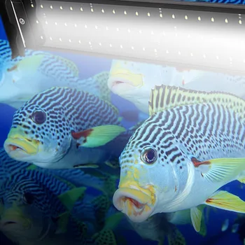 

Extendable Bracket Durable Aquarium LED Light Fish Tank LED Lighting Lamp White Blue 2 mode Power Plug Adapter