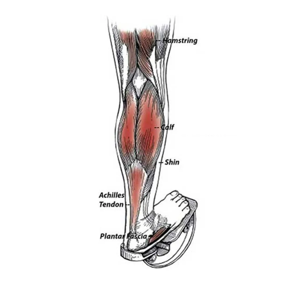 d37d13c6e4e2c6eabdf01dabd31dc992