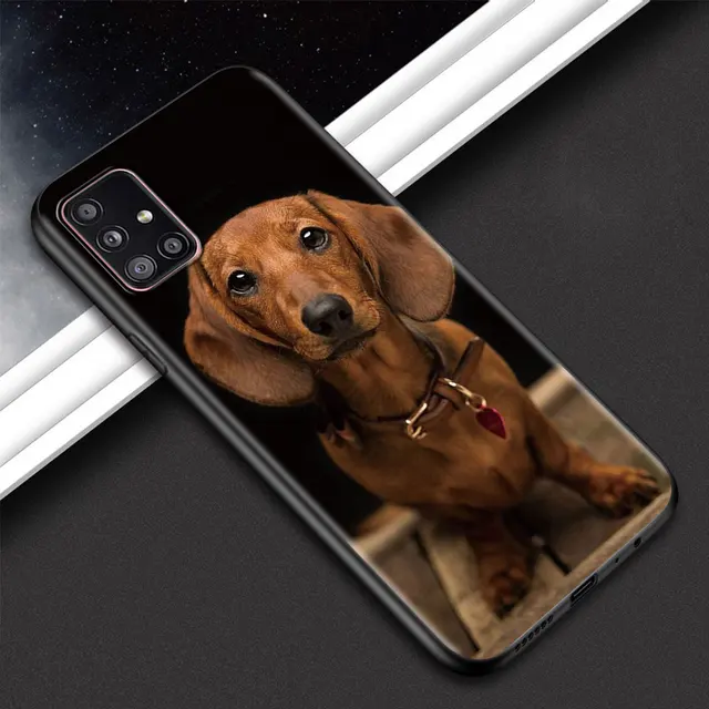 Animal Dachshund Dog Puppy Phone Shell For Samsung Galaxy A51 A71 A21s A12 A31 A41 A32 A02s A11 A72 A52 A42 5G A21 EU Soft Case B12