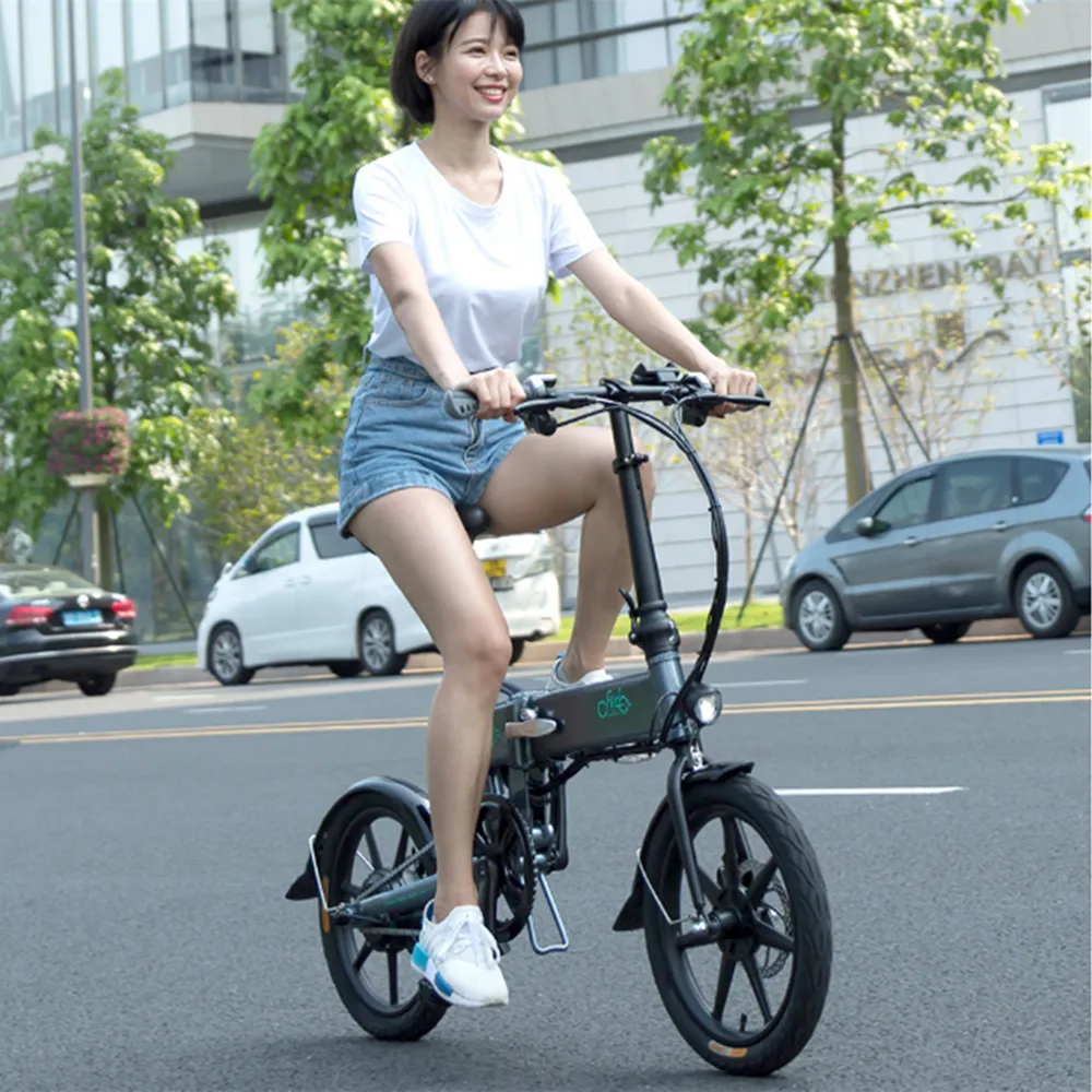 

Fiido D2s Folding Electric Bicycle 2 Wheel 7.8Ah 36V 250w Ebike Cycling 25km/H Electric Bike E Bike Foldable