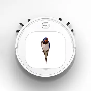 

Smart Sweeper Robot House Durable Power Floor Cleaning Robots Vacuum Cleaner 1800pa Unique Birds ow