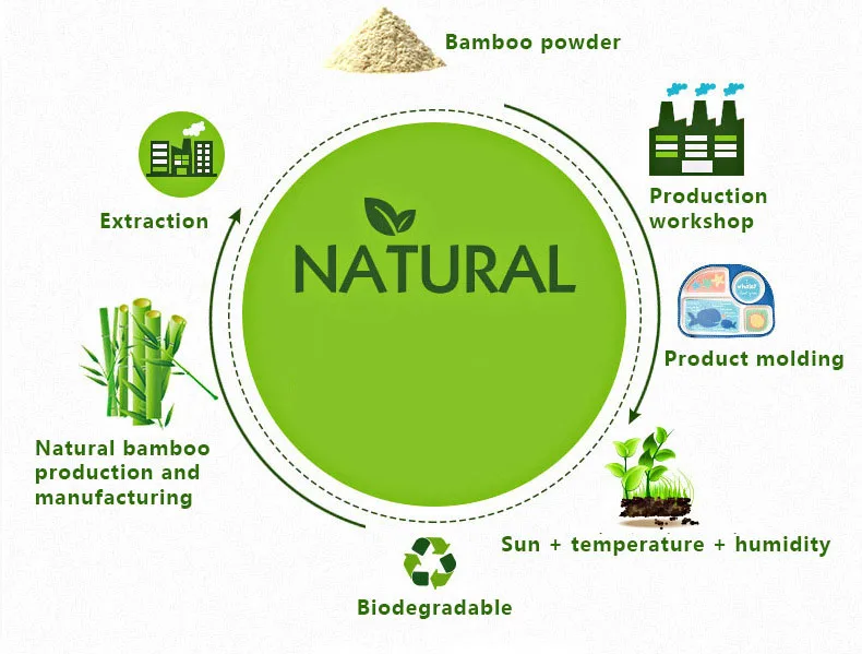 environmental dinnerware Bamboo fiber cartoon  tableware baby feeding bowl child dinner dishes natural healthy