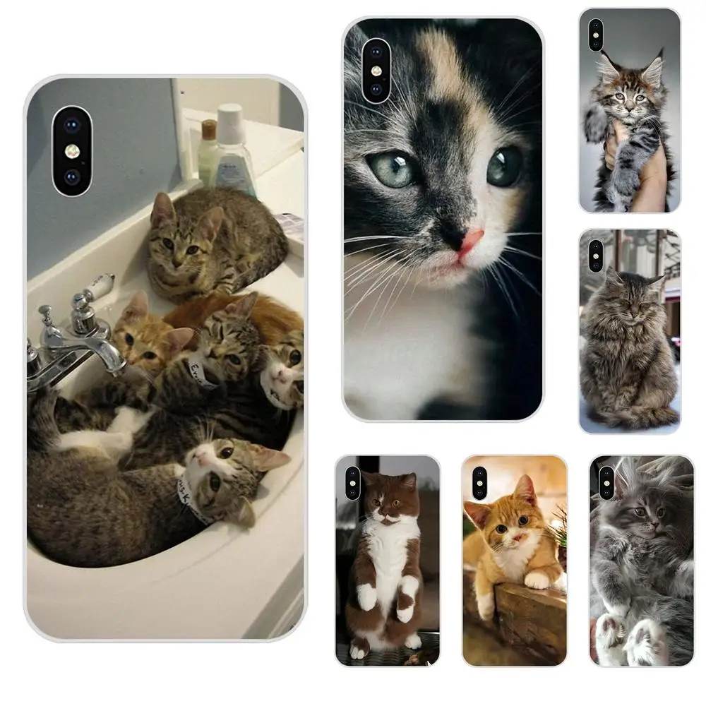 Мы любим милой кошкой Корпус мягкий чехол для Huawei NOVA 2 V20 Y3II Y5 Y5II Y6 Y6II Y7 Y9 G8 G9 GR3 GR5 GX8