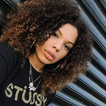 

Wignee Short Hair Black to Brown Curly Synthetic Wigs for Black Women Natural Heat Resistant Afro Fake Hair American Daily Wig