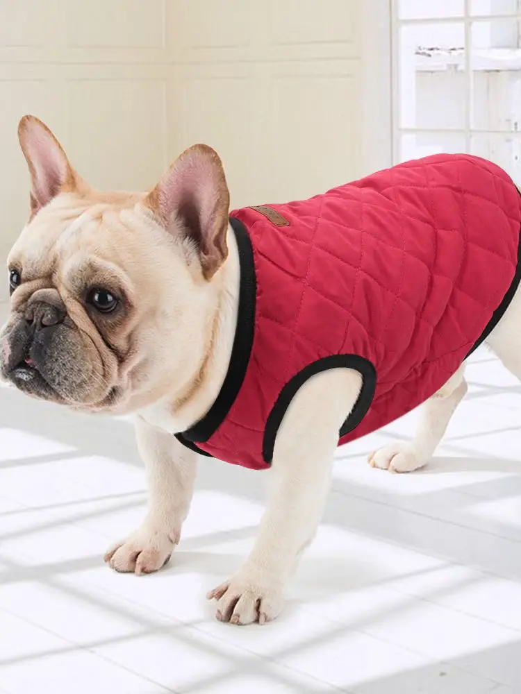 Спасательный жилет для французского бульдога. Жилетка для французского бульдога. Жилет для французского бульдога. Жилет для собак плавательный dog buoyancy aid 35см. Плавательный жилет для собак французский бульдог.