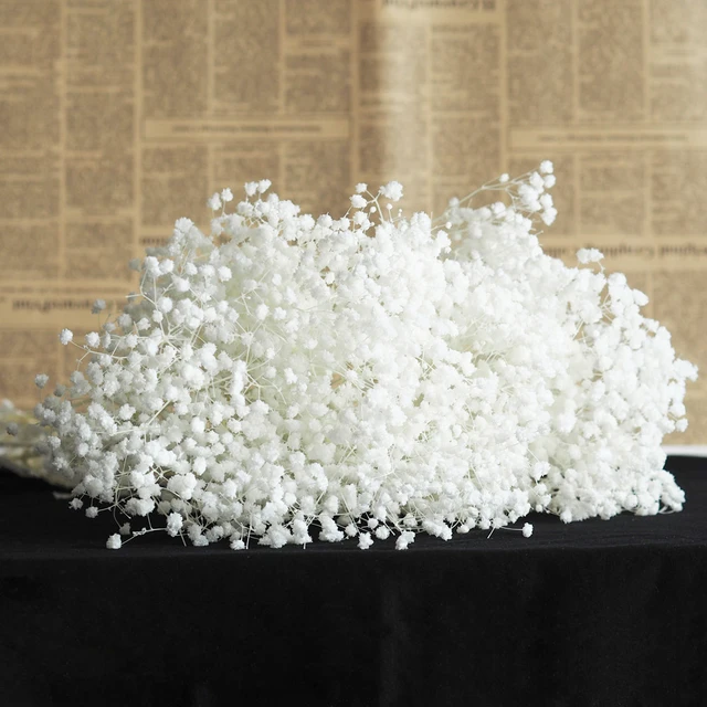 Natural Fresh Dried Preserved Flowers Gypsophila Paniculata,Baby's Breath Flower Bouquets Gift for Wedding Decoration,Valentines 001