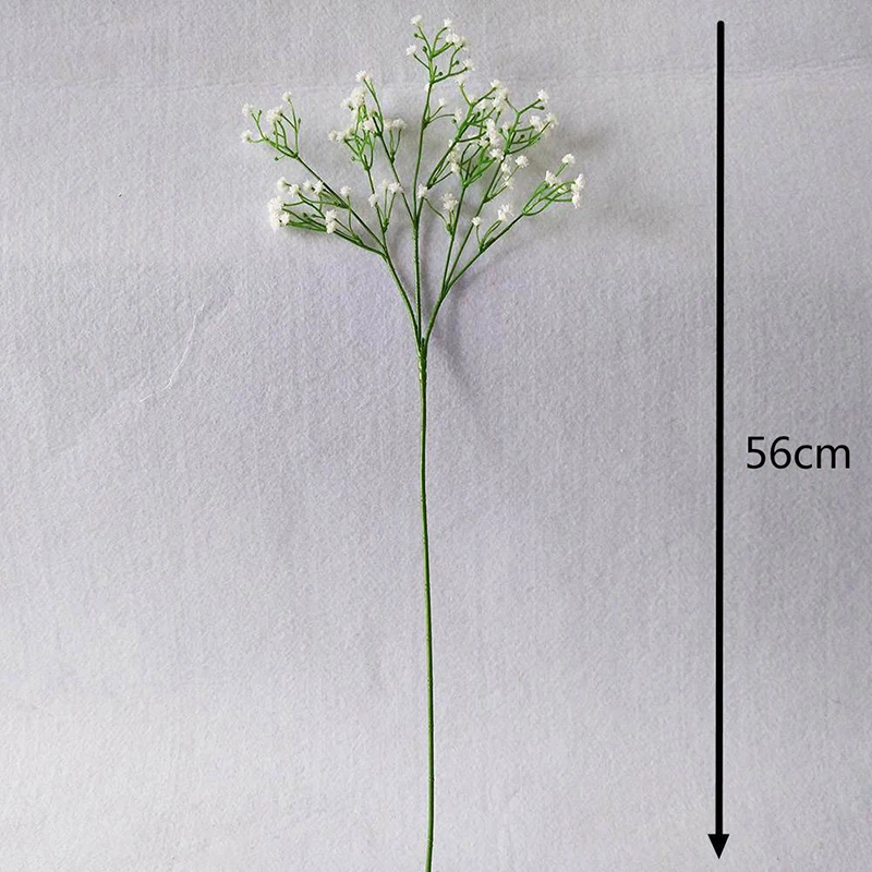 3804840237_831230203