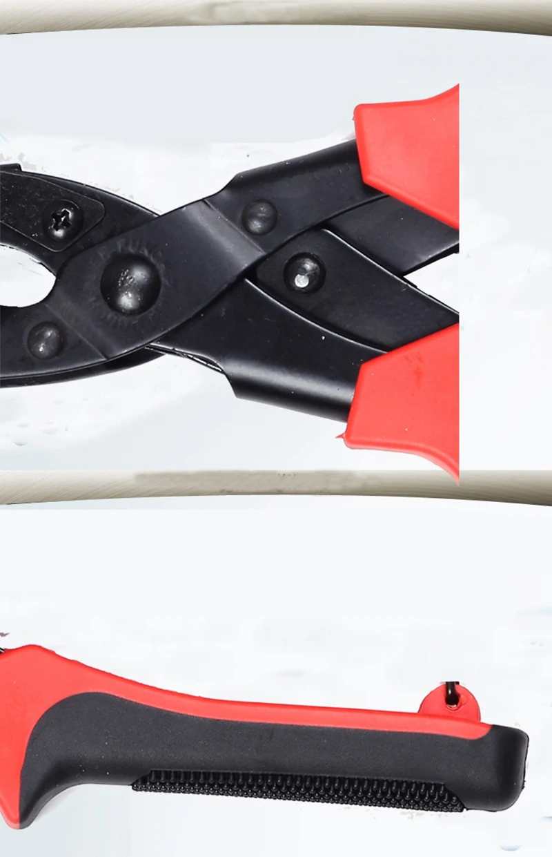 8499123871_2082045501