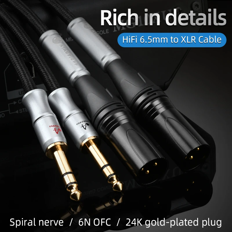 Premium Dual TRS to XLR Balanced Audio Cable for Microphones and DJ Equipment