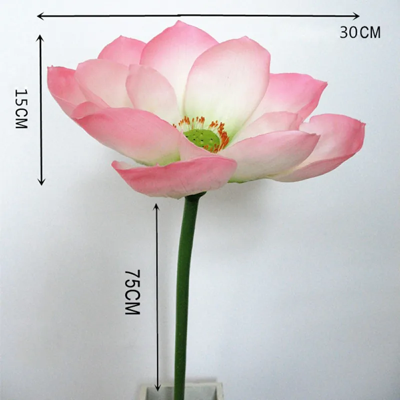 ZYD00640-01-ZYD00640-10-D2