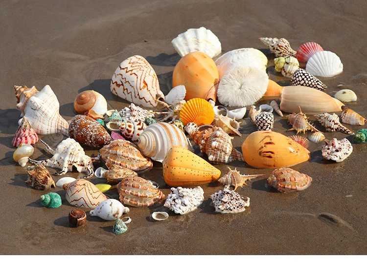 Hcf0b796e05c44dcd938d74d8e62aa536e.jpg?width=750&height=535&hash=1285