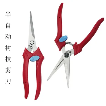 

Fruit Tree Pruning Shears Garden