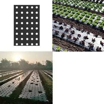 

5 Holes Black Plastic Mulch Film Agricultural Vegetable Plants Grow Film Anti Grass Perforated Film 95cmx10m