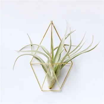 

Wall Mounted Air Plants Holder Irregular Geometric Metal Hanging Rack for Branch Eave Ceiling SP99