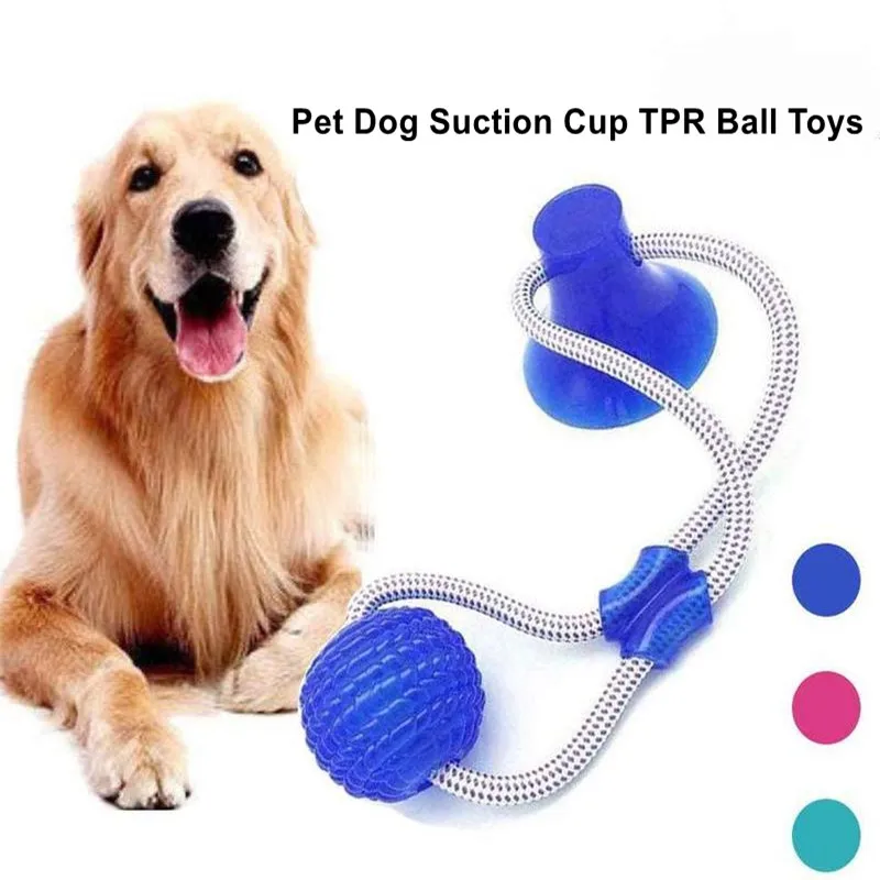 Dog Interactive Suction Cup Push TPR Ball Toys Elastic Ropes Dog Tooth