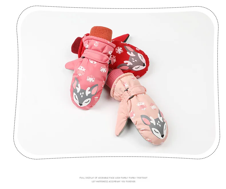 11319081691_1677106186