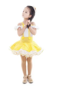

Princess Ballet Costumes Dress For Children Girls Women Professional Tutu Kids Adulto Dancewear Gymnastics Leotard