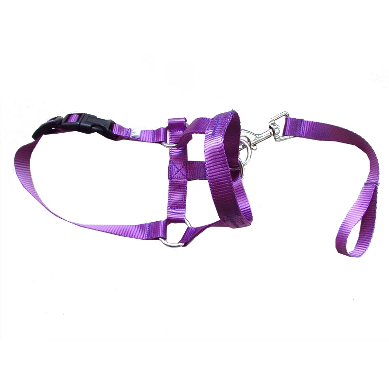 Creative Dog Halter Halti Training Head Collar Gentle Leader Harness Polyester Breakaway All Seasons Usefull Harnesses Lead Hot