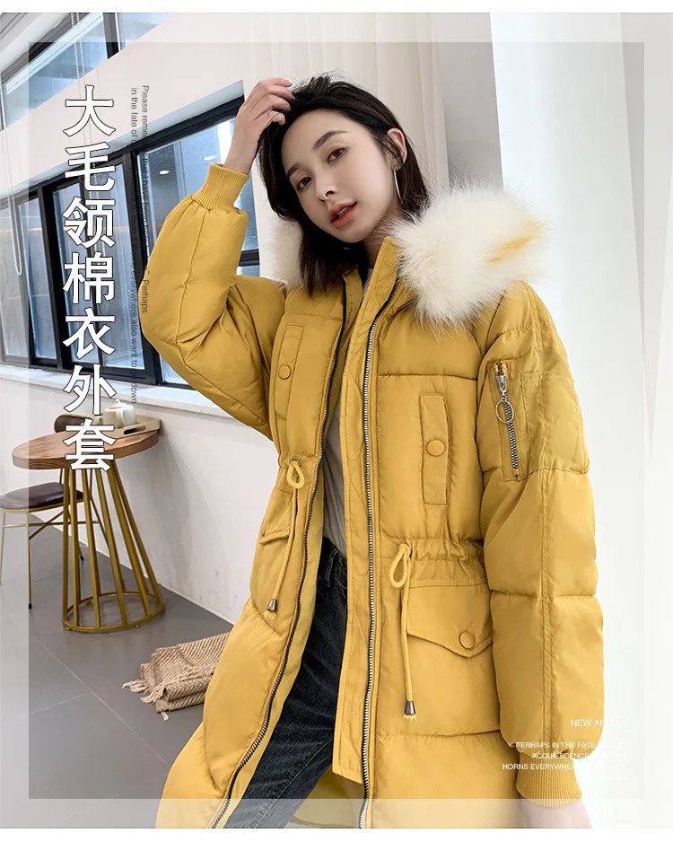 Cotton_01.jpg