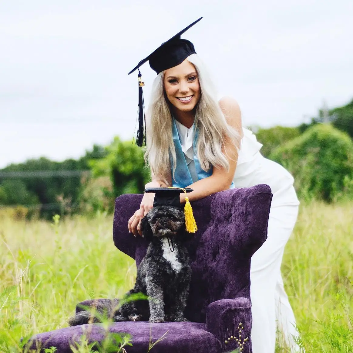 Товары для домашних животных шляпа Doctoral cap вечерние шапки игрушечный Кот шапка и Amazon