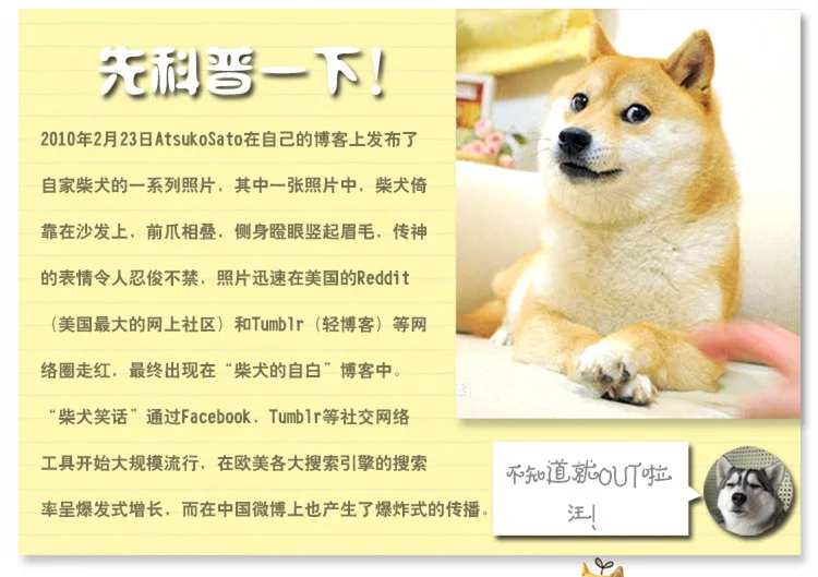 Средний 3 ddoge живой загрязнения Косплей Shiba «Лисья Секретная служба»(Inu Хаски два га забавные альтернатива Подушка для спины