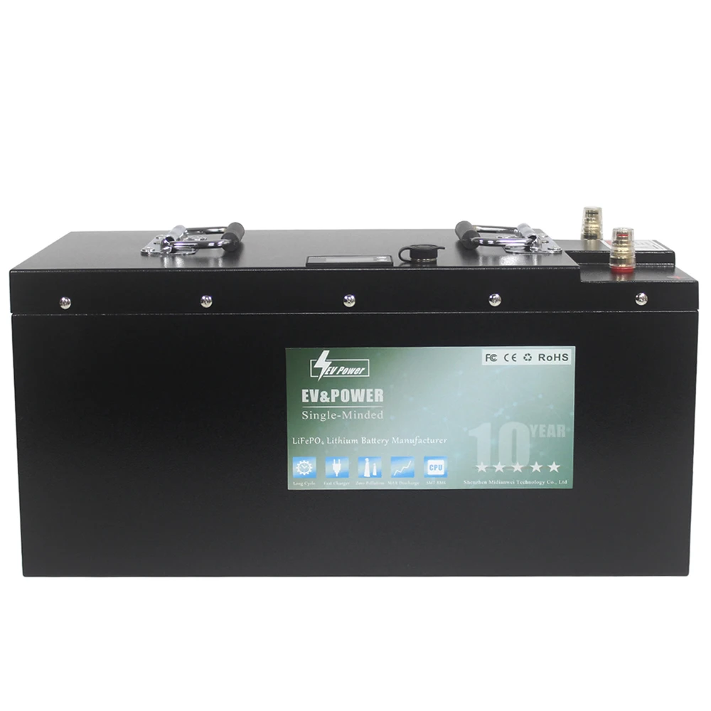 12V 24V 100AH 200AH 300AH LiFePo4 battery pack built-in BMS with charger lithium iron phosphate RV solar storage energy battery lithium battery pack