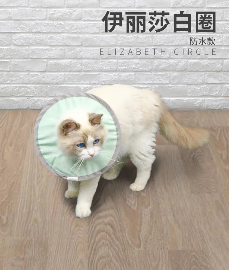 15751803767_1738709376