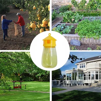 

Passion Fruit Tattoo Fly Killer Fly Trap Fly Trap Home Indoor Fly Environmentally Friendly Big Fly Insect Fruit