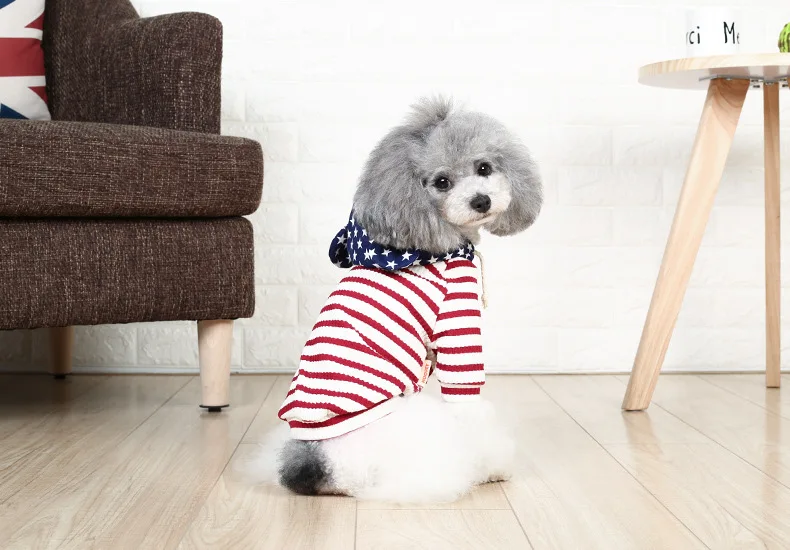 4245519050_1202722020