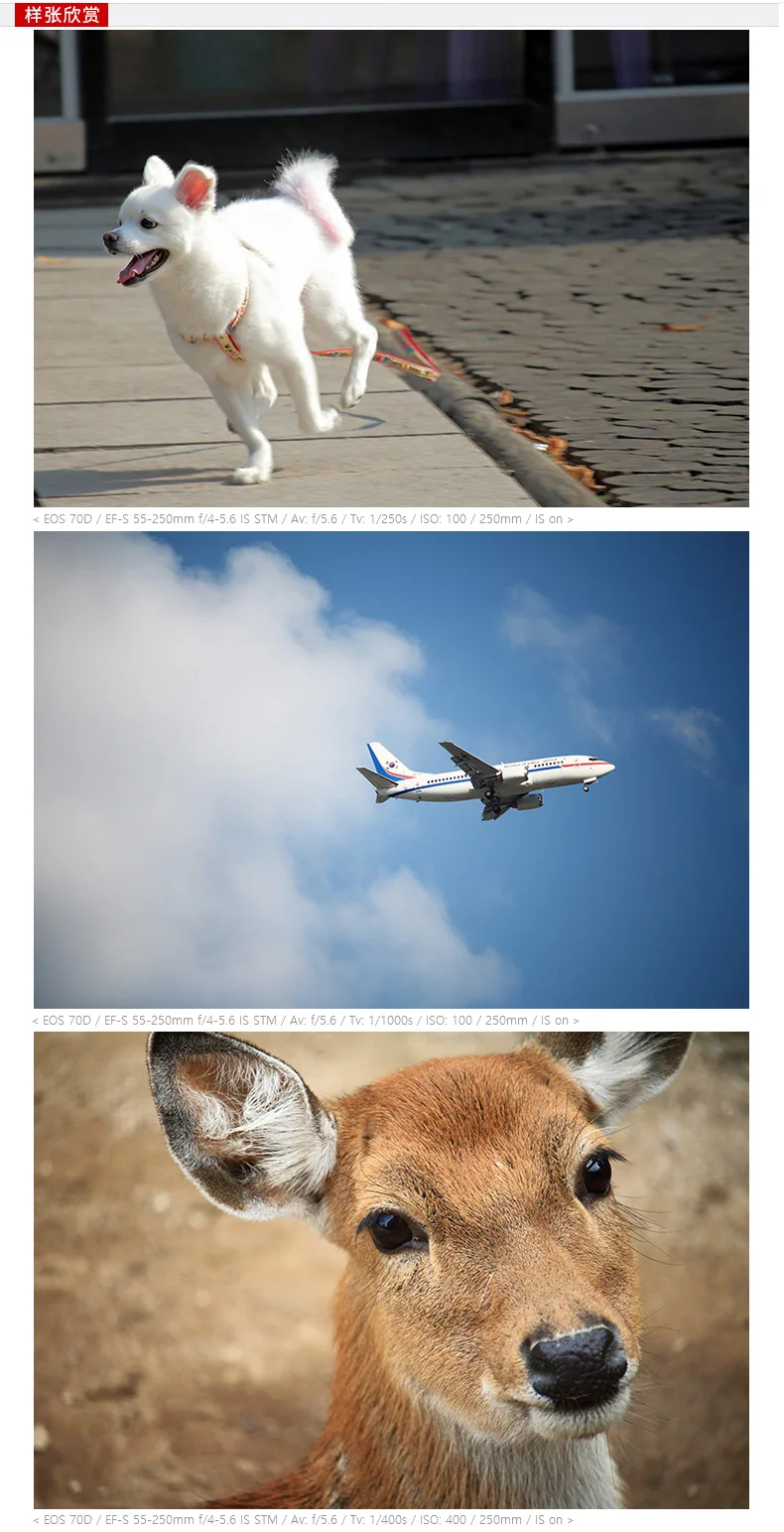 TB2ybL1eyMnBKNjSZFzXXc_qVXa_!!2212984223 (1)